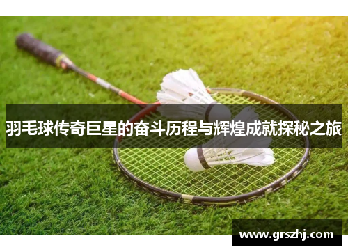 羽毛球传奇巨星的奋斗历程与辉煌成就探秘之旅